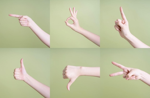 Photo collection of different hand shapesxa