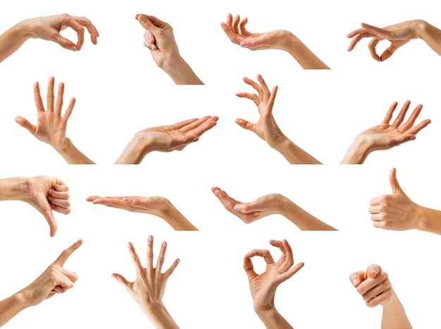 Photo collection of different hands gestures