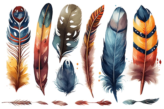 A collection of feathers with different colors.