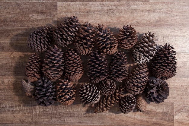 Collection of festive christmas pine cones