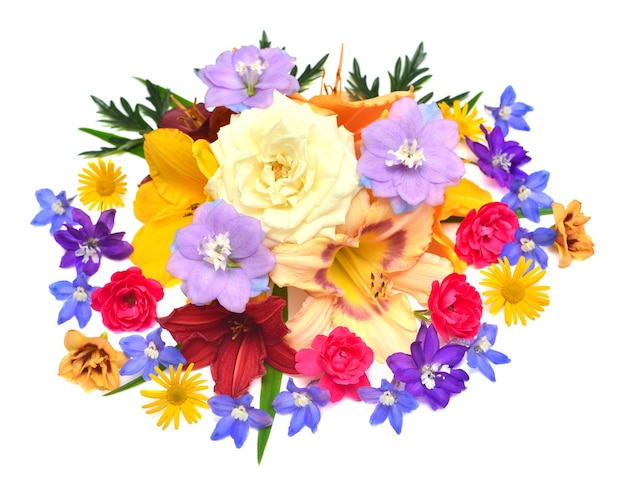 收藏花朵 delphinium rose daisy 和 hemerocallis 在白色背景上隔离 时尚的花朵排列 平坦的顶部视图