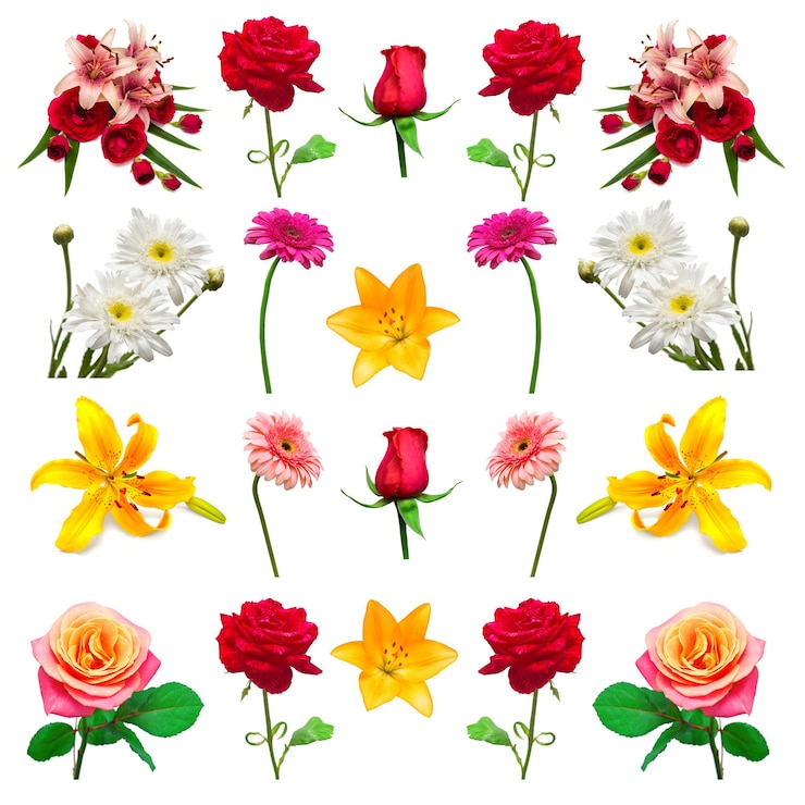 Photo コレクションの花は白い背景で隔離。フロリスティックス、ブーケ、ウェディングギフト。フラットレイ、上面図。バレンタインデー、愛。花バラ、デイジー、ガーベラ、ユリ