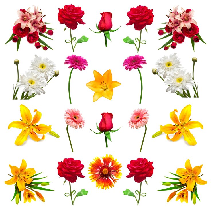 Photo コレクションの花は白い背景で隔離。フロリスティックス、ブーケ、ウェディングギフト。フラットレイ、上面図。バレンタインデー、愛。花バラ、デイジー、ガーベラ、ユリ
