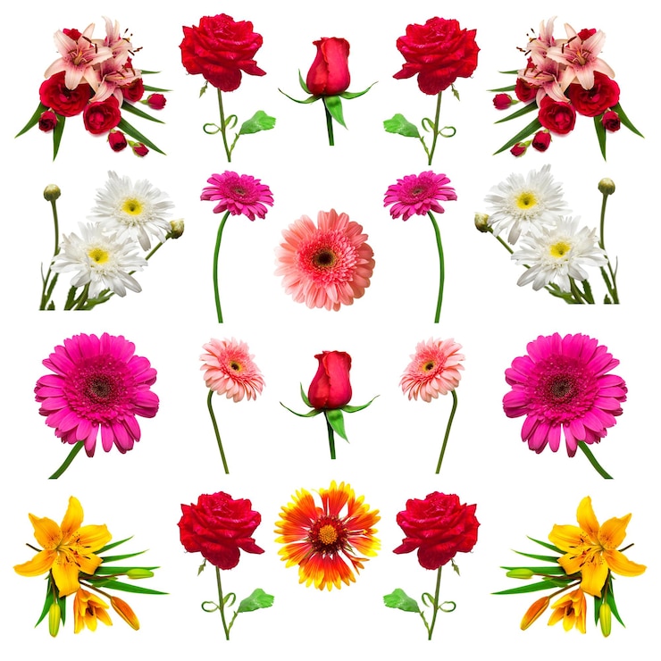 Photo コレクションの花は白い背景で隔離。フロリスティックス、ブーケ、ウェディングギフト。フラットレイ、上面図。バレンタインデー、愛。花バラ、デイジー、ガーベラ、ユリ