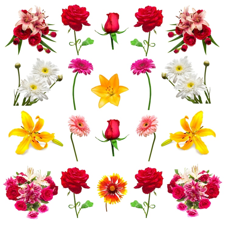 Photo コレクションの花は白い背景で隔離。フロリスティックス、ブーケ、ウェディングギフト。フラットレイ、上面図。バレンタインデー、愛。花バラ、デイジー、ガーベラ、ユリ