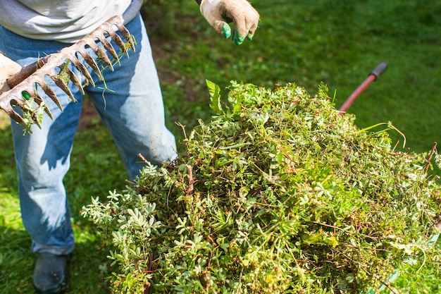 Raccolta dei rifiuti del giardino. strumenti da giardinaggio. concetto agricolo. stagione agricola