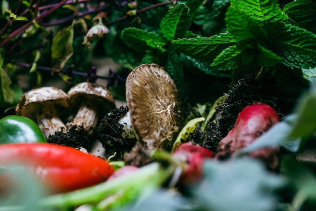 Collection of homegrown vegetables and flowers after harvest from home garden