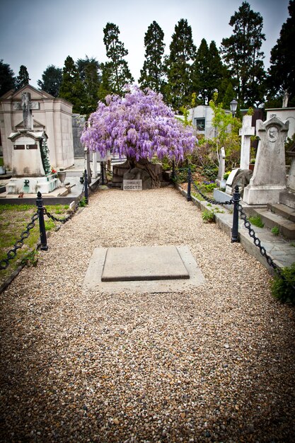 Collection of the most beautiful and moving architectures examples in European cemeteries