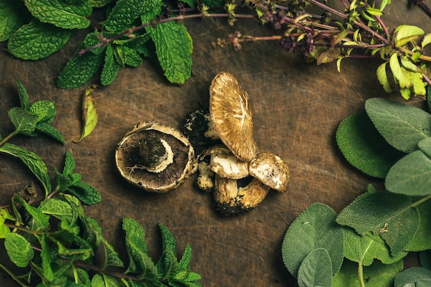 Collection of mushrooms and herbs fresh from harvest with wooden background