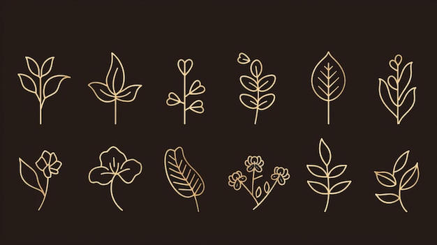 Collection of Floral Decoration Branch Leaf Plant Line Stroke Icons