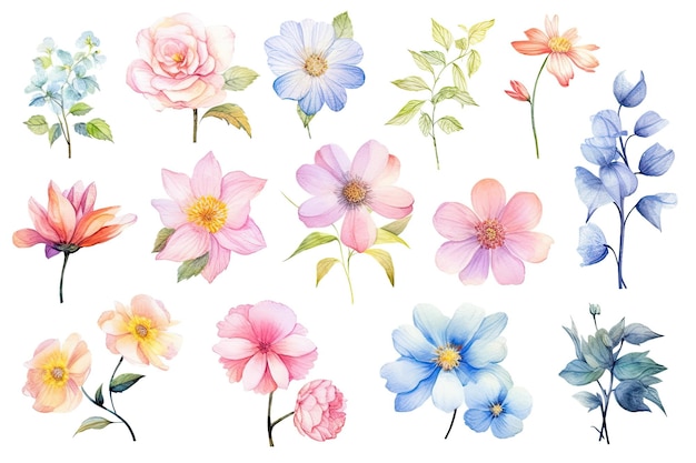 写真 かなり ⁇ 細な水彩の花のコレクション