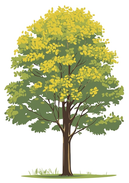 Фото Коллекция иллюстраций деревьев может быть использована для иллюстрации любой природы или здорового образа жизни