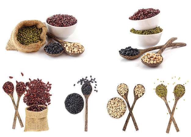 写真 さまざまな豆のコレクション健康で栄養価の高いタンパク質食品多くの色の上面図白地に分離されたスプーンの黒白赤と緑豆