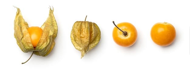 Collection of physalis berries isolated on white