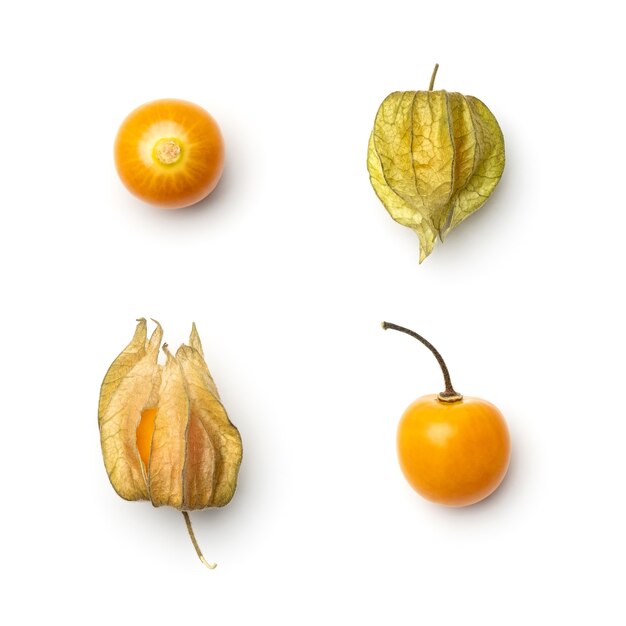 Photo collection of physalis berries isolated on white