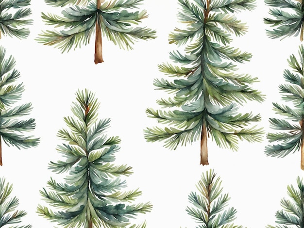 a collection of pine trees from the collection