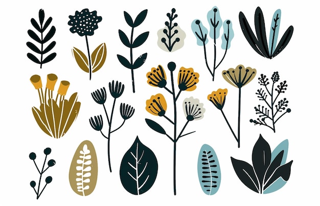 a collection of plants and flowers including leaves and flowers