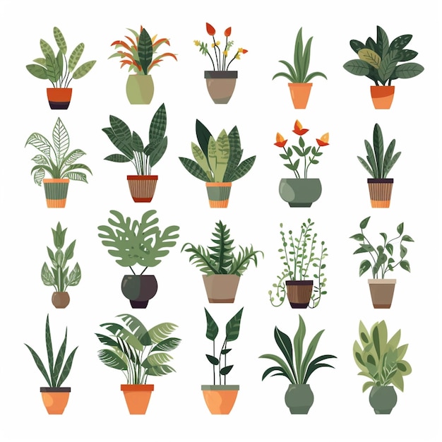 A collection of plants on a white background