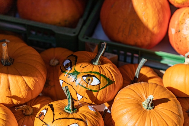 Collection of ripe pumpkins in a store