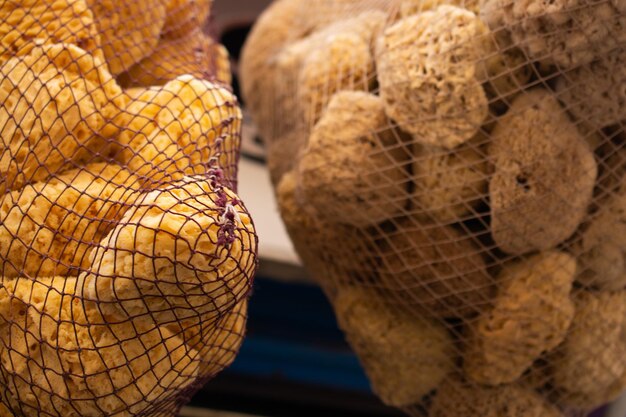 Collection of sea natural sea sponges for cleaning and washing\
spa and wellness