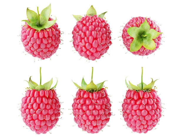 Collection set of fresh ripe raspberries isolated on white background 3D render