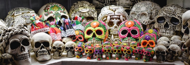 A collection of skulls are displayed in a store