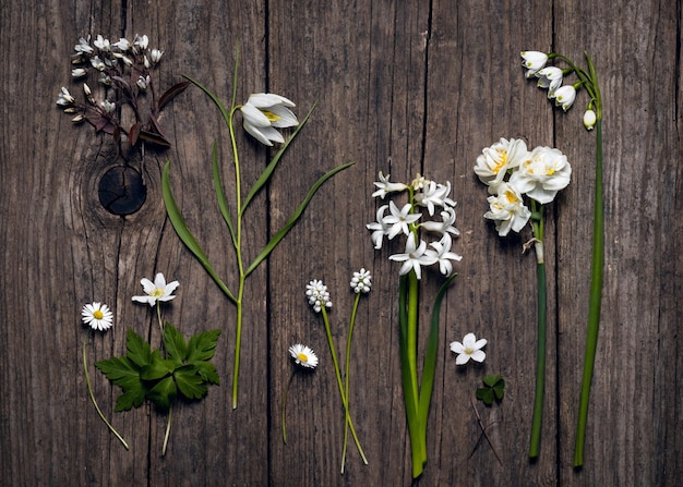 Collection of spring wildflowers in white color on a rustic old wooden background