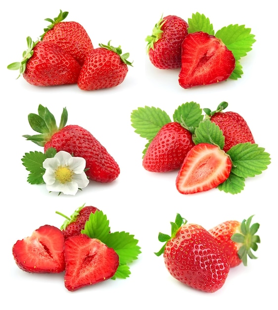 Photo collection of strawberry