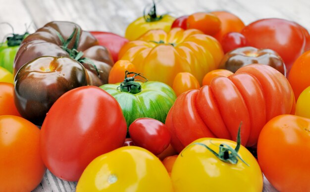 Collection of tomatoes