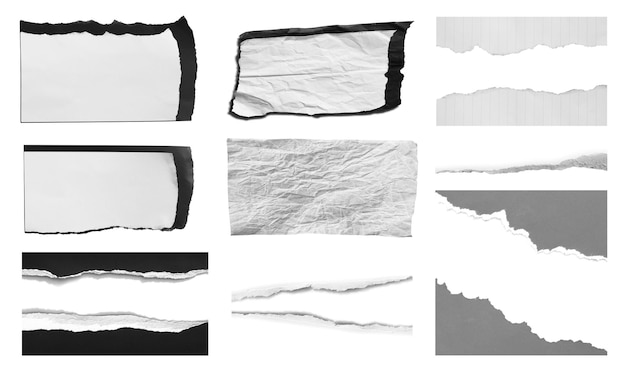 Collection of torn paper background and have copy space for design in your work