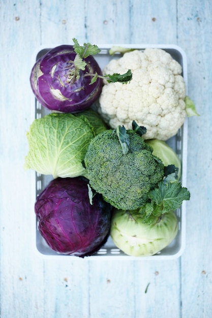 Collection of various types of cabbage