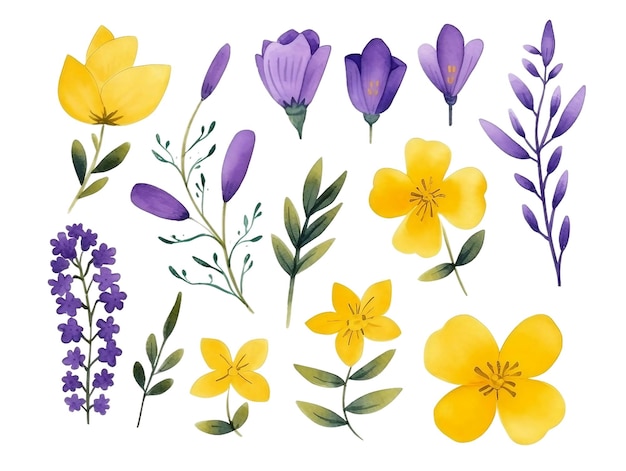 Collection of watercolor flower floral natural elements on transparent background AI generated