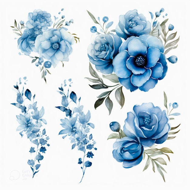 A collection of watercolor flowers