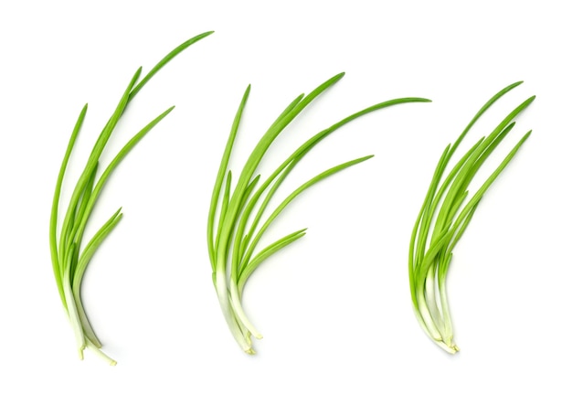 Collection of young green onion isolated on white background
