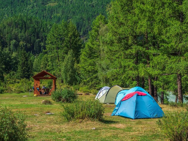 Collective camping tents stand in a row on a green lawn on the bank of a mountain river