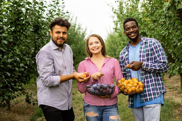 Collega's op de fruitboerderij na het plukken van de oogst