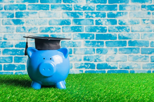 College graduate student diploma piggy bank