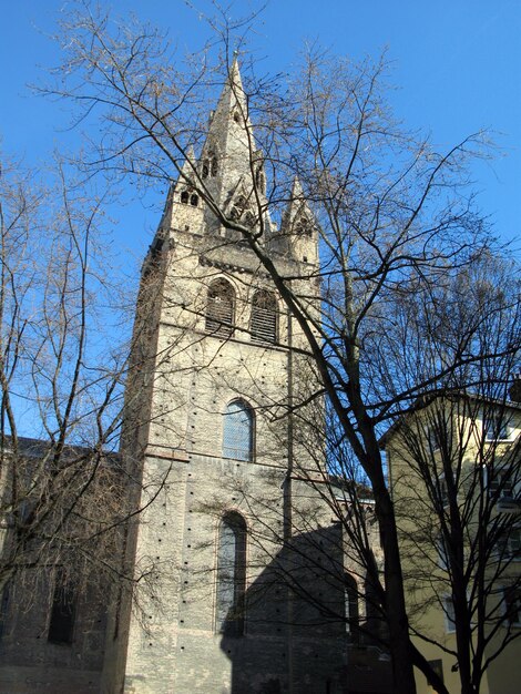 Collegiale Saint-André (Grenoble). katholieke kerk tegen de blauwe lucht en boomtakken. Frankrijk