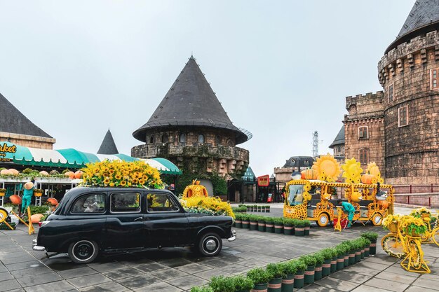 Photo colmar tropicale