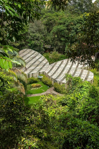 Colombia Armenia September 142021 Butterfly house Quindio botanical garden stock image
