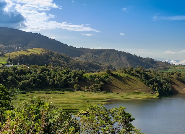 Colombiaanse natuur groothoekopname van bomen en bossen op een berg overdag