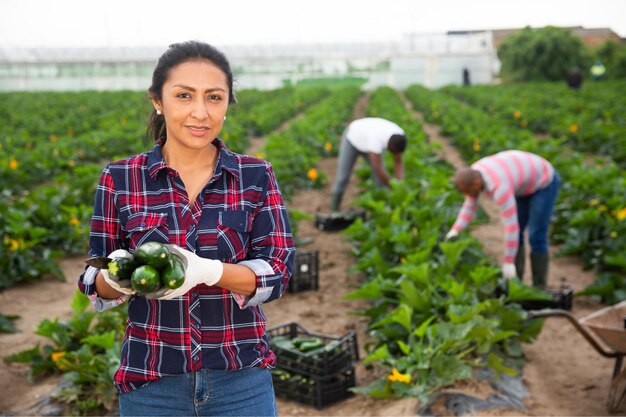 Colombian female farmer showing harvest zucchini on farm field