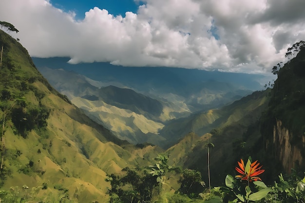 Colombian nature