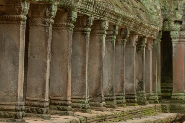 Photo colonnade of stone pillars in ruined temple