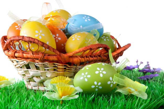 Color easter eggs in basket isolated on white