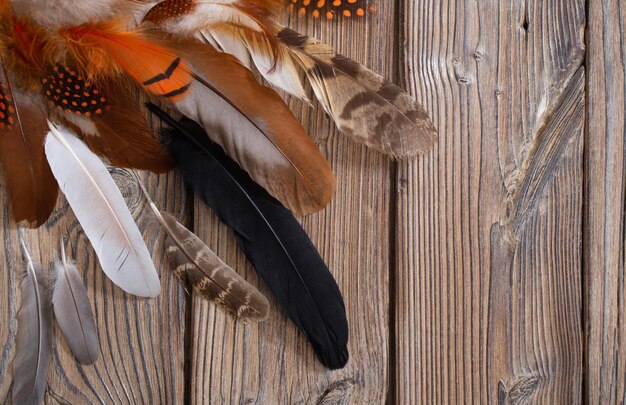 Color feathers on old wooden background