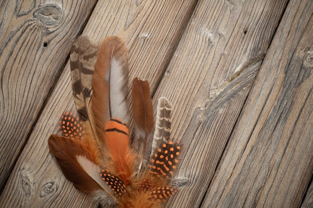 Color feathers on old wooden background