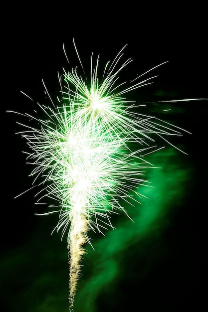 Color fireworks burst in the night sky.