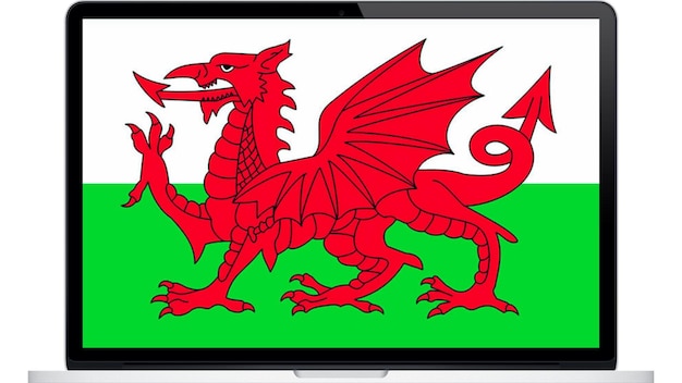 Color flag of the country on the tablet illustration