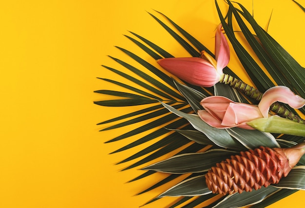 Foto fiori di colore su sfondo tropicale